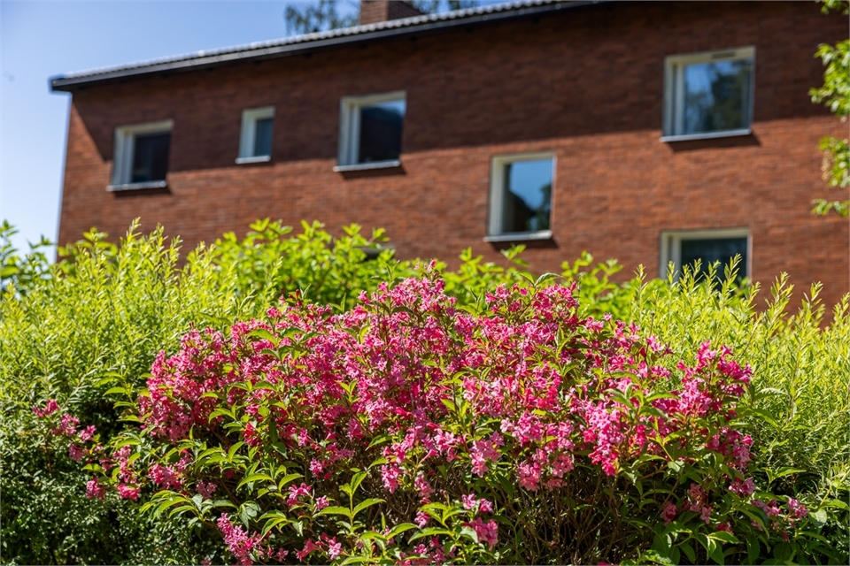 /Global/DisplayMultimediaDescription.ashx?guid=3fcb3f3a-45e1-4fa2-bf0b-2943a43c99ad