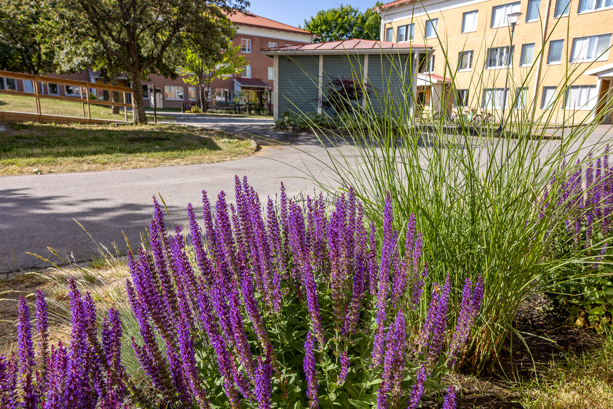 Plåtslagaregatan 25