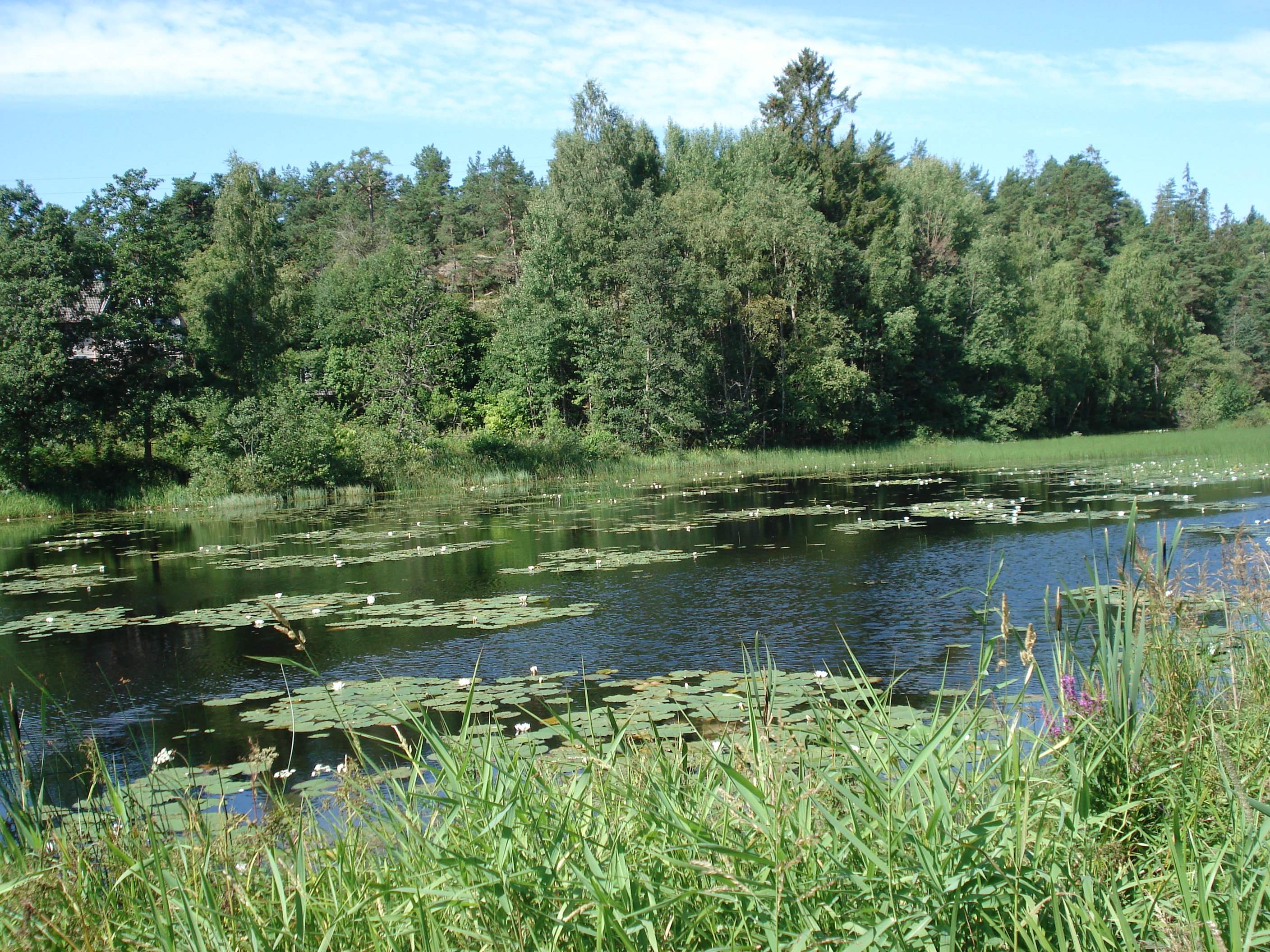 Konsumvägen 16