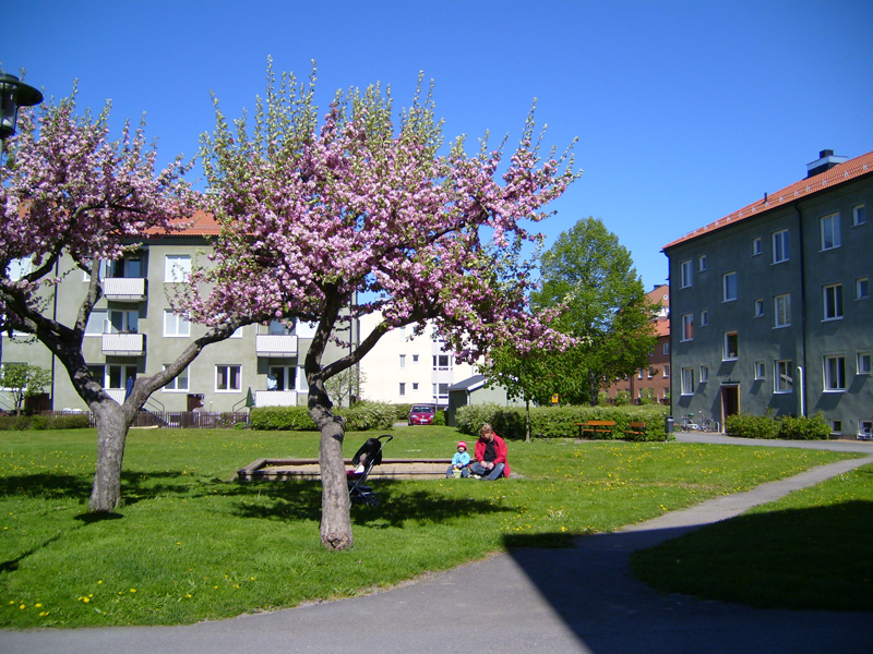 Albrektsvägen 133 B