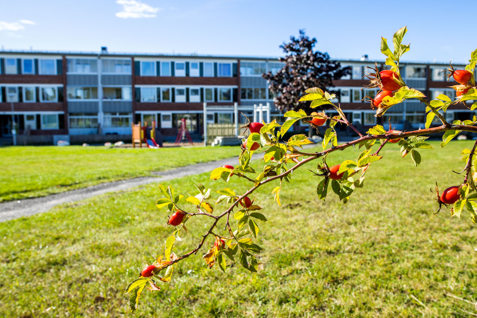 Idrottsgatan 21